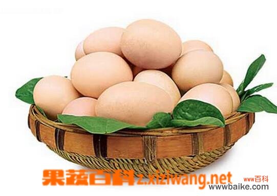 鸡蛋的过敏症状 怎么判断鸡蛋过敏