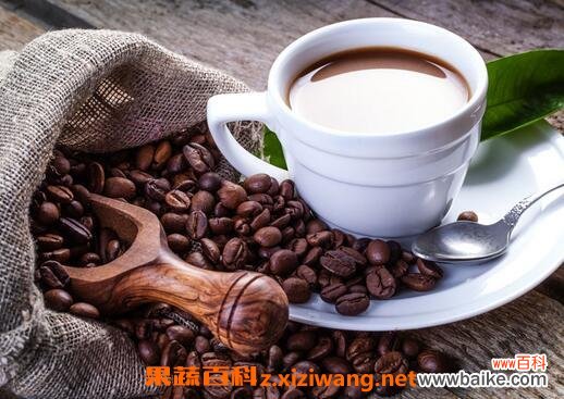 咖啡豆的功效与作用 咖啡豆的药用价值