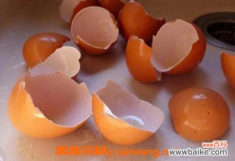 鸡蛋壳的作用 鸡蛋壳有哪些用途