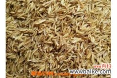 稻壳的营养价值 稻壳的用途