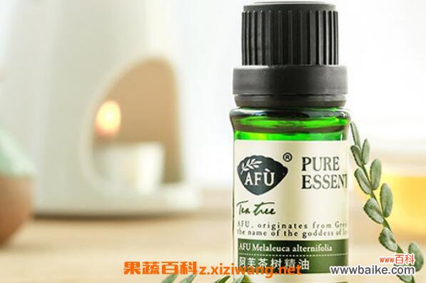 茶树油的功效与作用 茶树油有哪些用途