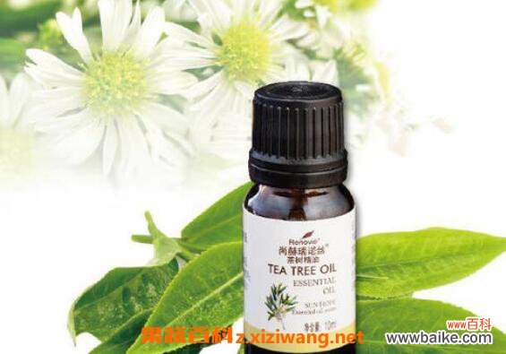 茶树精油有哪些功效 茶树精油有哪些作用