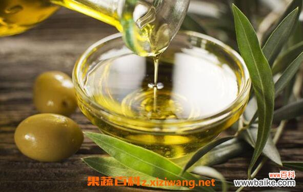 橄榄油如何护肤 橄榄油护肤的正确方法