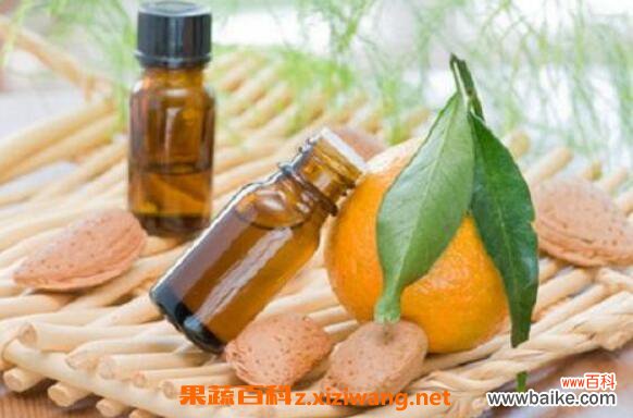 香橙精油的功效与作用 香橙精油的用途