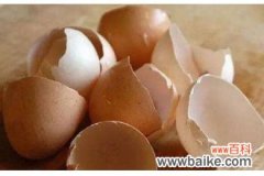 鸡蛋壳如何去除水壶的水垢
