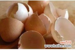 鸡蛋壳怎样去水垢 鸡蛋壳去水垢的原理