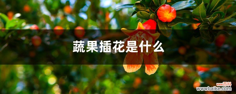 蔬果插花是什么