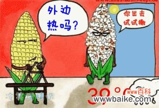 近40℃高温，花再不管，就只剩盆了！