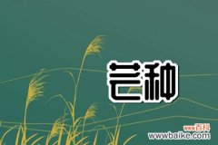 2022年芒种出生的虎宝宝是什么命 性格好不好