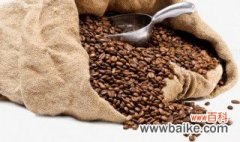 怎么养咖啡豆 如何养咖啡豆