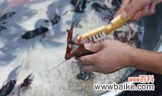 把小龙虾清洗干净的最简单方法 把小龙虾清洗干净的最简单方法介绍