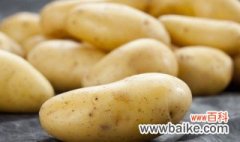土豆怎么养 土豆如何养殖