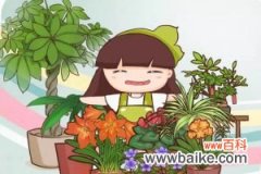生活不如意的时候，就养盆花草吧！