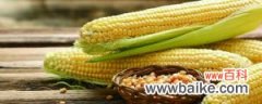 玉米是凉性还是热性，有什么功效与作用
