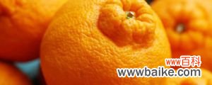 丑橘为什么叫丑橘，适合在什么地方栽种