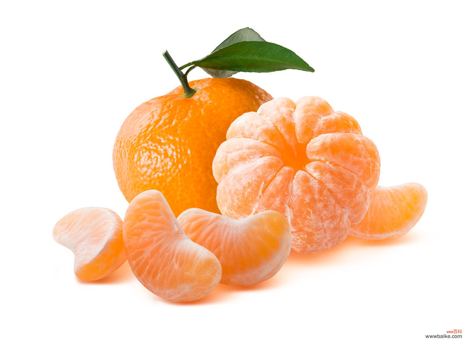 小橘子叫啥