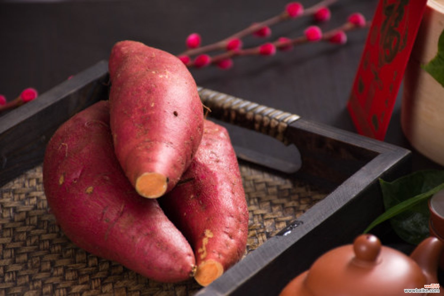 红薯盆景的养殖方法和注意事项