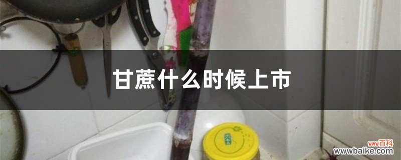 甘蔗什么时候上市，多少钱一斤