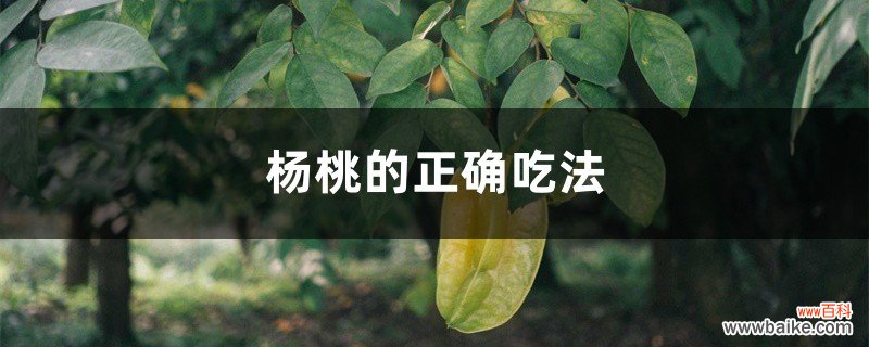 杨桃的正确吃法，不能和什么一起吃