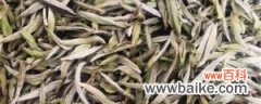 白茶的养殖方法和注意事项