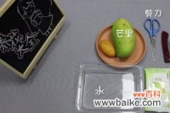 芒果盆栽制作视频