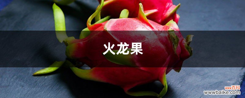 火龙果播种视频：不花一分钱，种出小盆栽