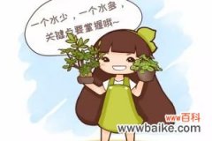 花总养不好？学会3句话保花不死