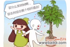 发财树幸福树……那么贵别买了，剪根枝就能活