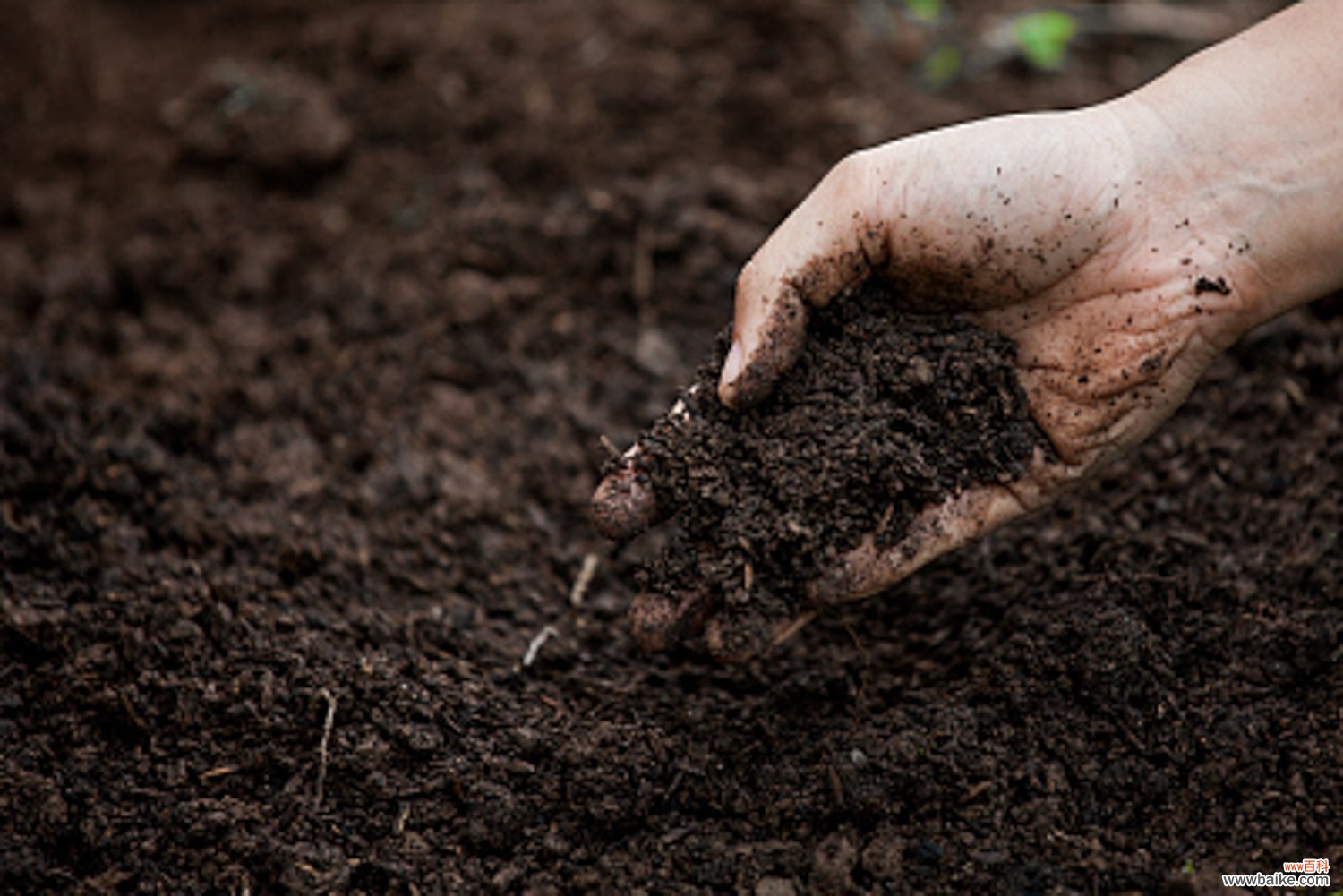 如何改善土壤透气性