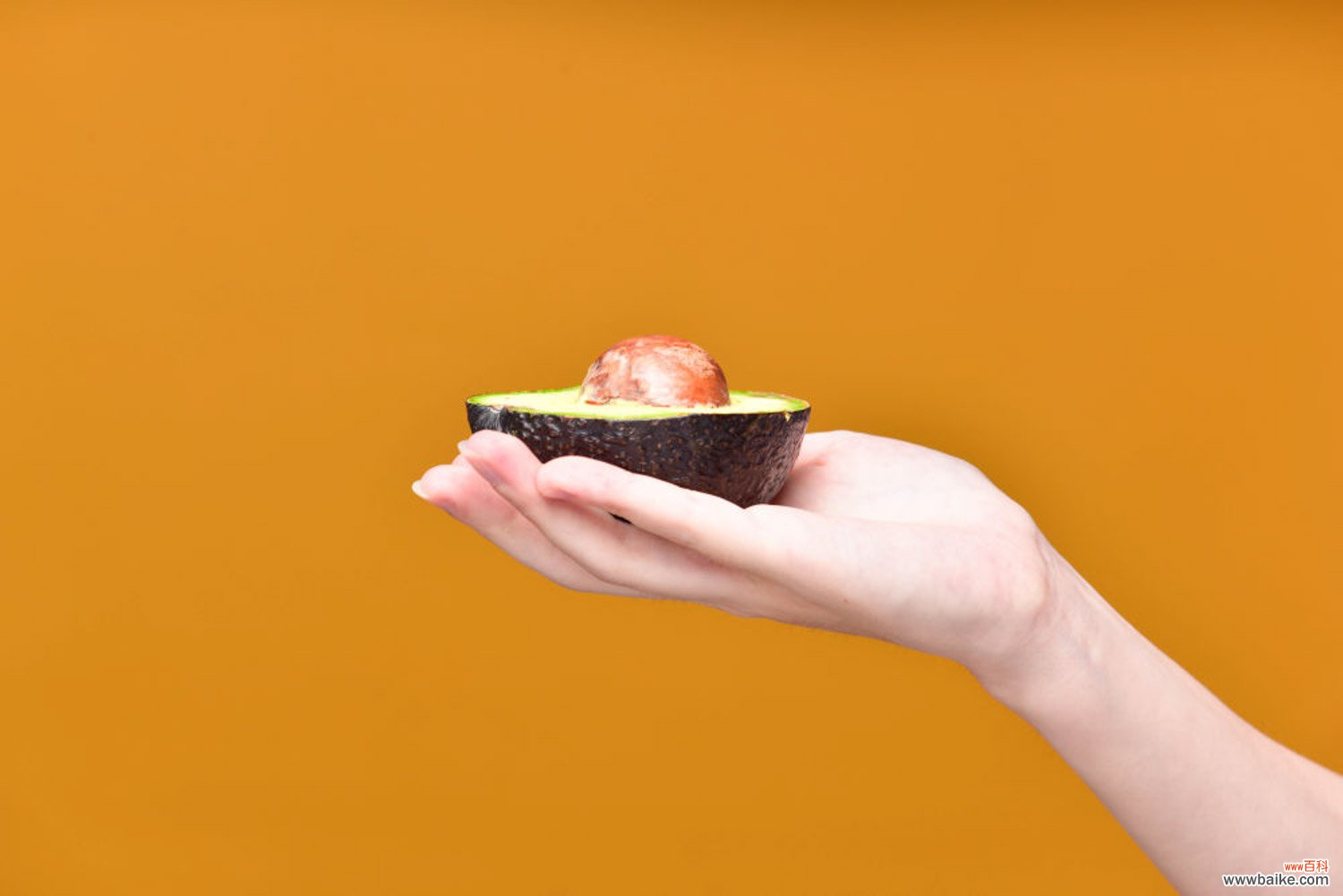 牛油果怎么施肥