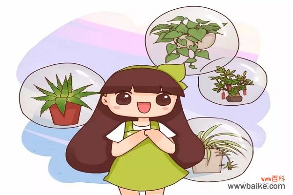 漂亮又美容的花，就选这6种，爱美的你绝对别错过！