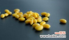 5月黄豆什么时候种 5月份种植皇豆的时间