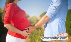 孕早期食谱 孕早期吃什么好呢