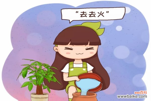 刚买的花盆，得先“去去火”，否则不管啥花，上盆就死！