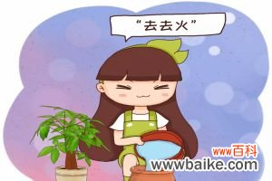 刚买的花盆，得先“去去火”，否则不管啥花，上盆就死！