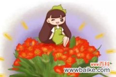 长寿君子兰……夏季连开30朵，为啥她家的花不休眠！