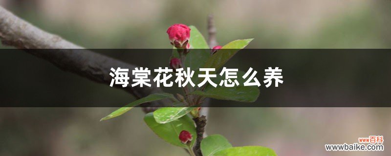 海棠花秋天怎么养