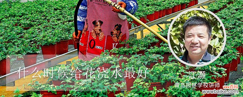 什么时候给花浇水最好