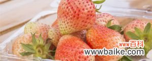 怎么种草莓，草莓种植技术