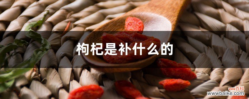 枸杞是补什么的，枸杞子吃多了有什么副作用