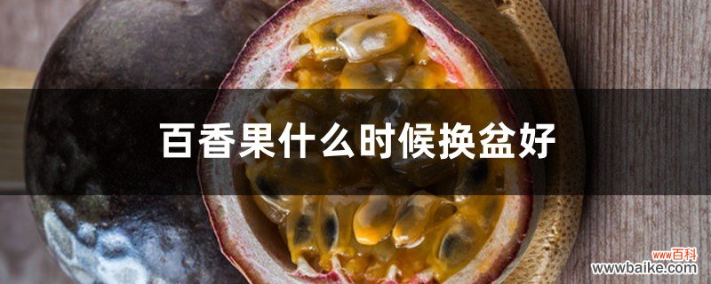 百香果什么时候换盆好，换盆要注意什么