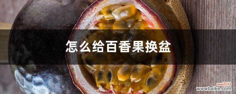 怎么给百香果换盆，换盆后放天台上晒可以吗