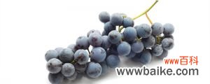 盆栽葡萄种植方法，种植技术与管理