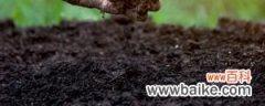 酸性土壤怎么制作，适合种什么花