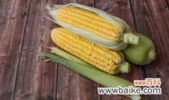 种植玉米多棒小技巧 如何种植玉米