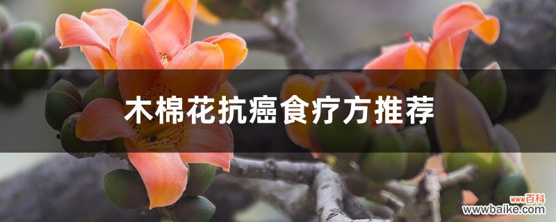 木棉花抗癌食疗方推荐