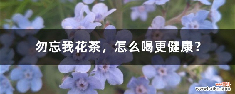 勿忘我花茶，怎么喝更健康？