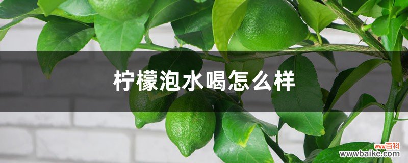 柠檬泡水喝怎么样