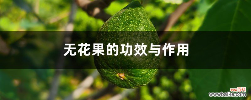 无花果的功效与作用