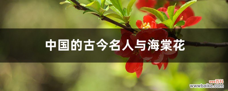 中国的古今名人与海棠花